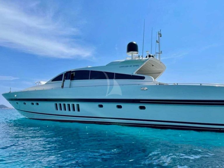 leopard-notorious-charter-1
