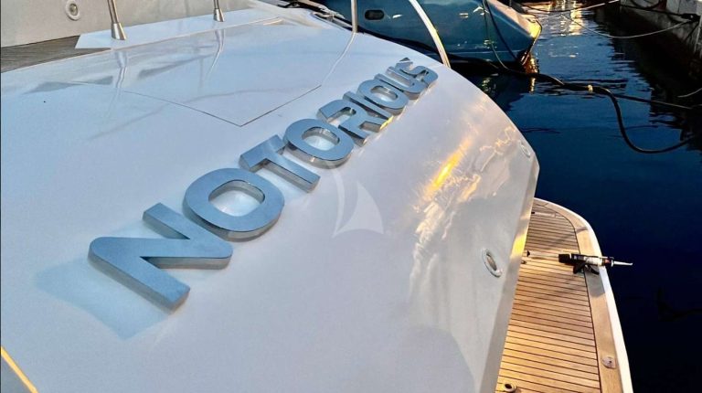 leopard-notorious-charter-5